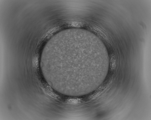 X0000110960595200907101329