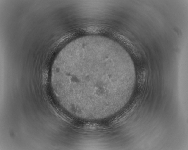 X0000110960596200907101329