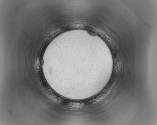 X0000110960597200907101329