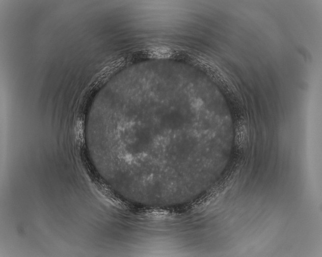 X0000110960598200907101329