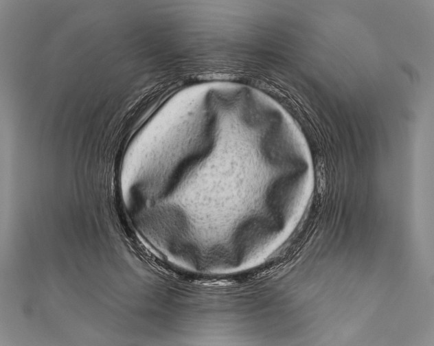 X0000110960599200907101329