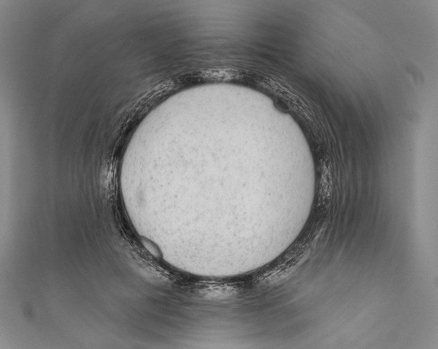 X0000110960601200907101329