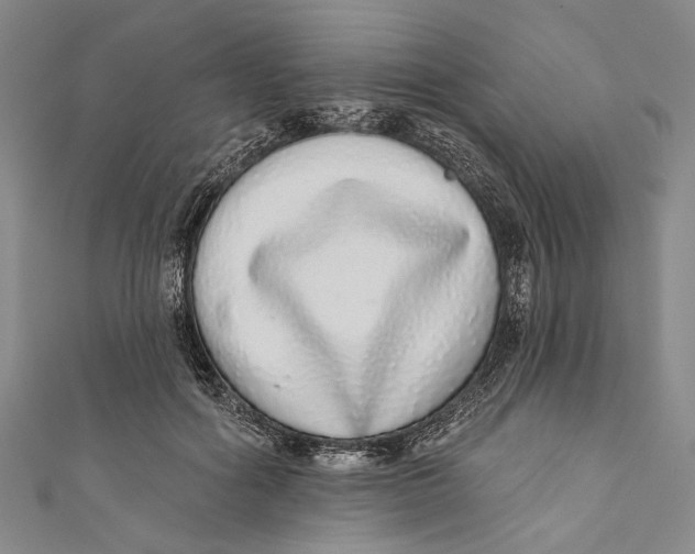 X0000110960602200907101329