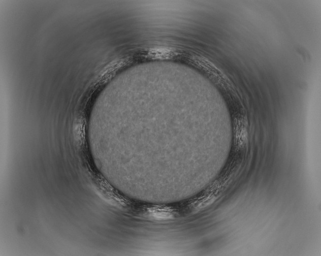 X0000110960603200907101329