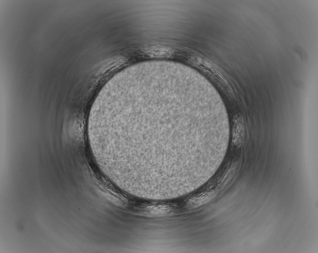 X0000110960604200907101329