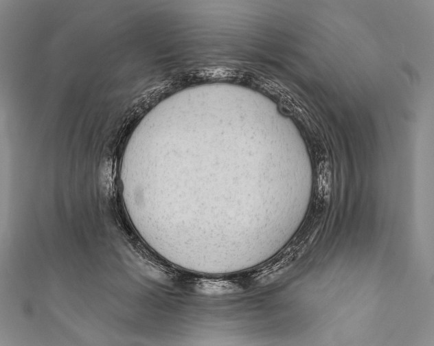 X0000110960605200907101329