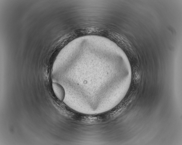 X0000110960607200907101329