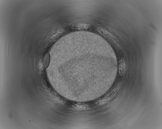 X0000110960608200907101329