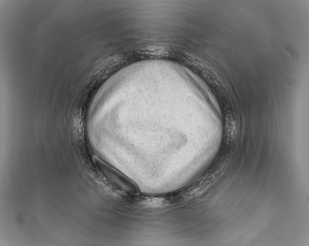 X0000110960609200907101329