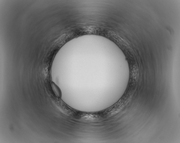 X0000110960611200907101329