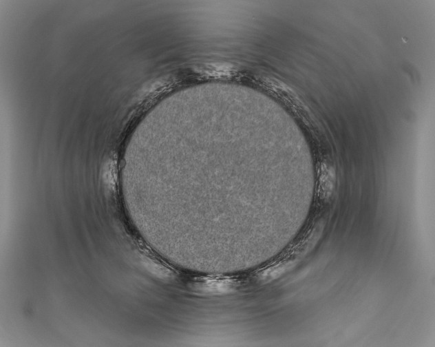 X0000110960612200907101329