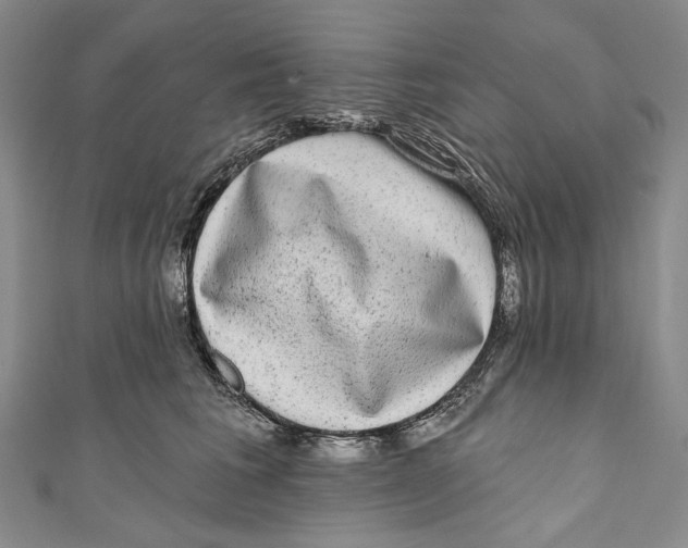 X0000110960613200907101329