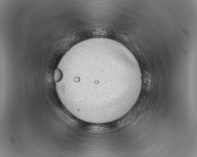 X0000110960614200907101329