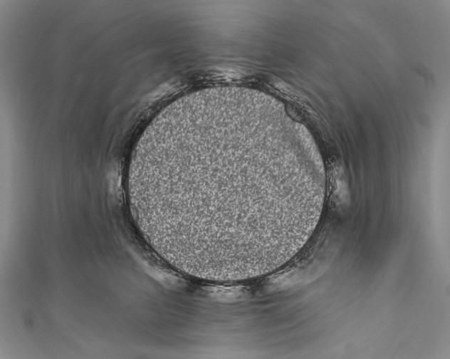 X0000110960615200907101329