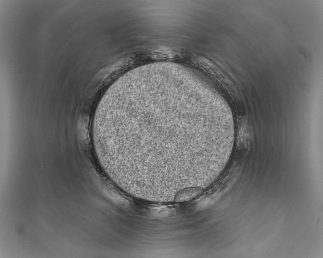 X0000110960616200907101329