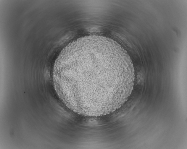 X0000110960618200907101329