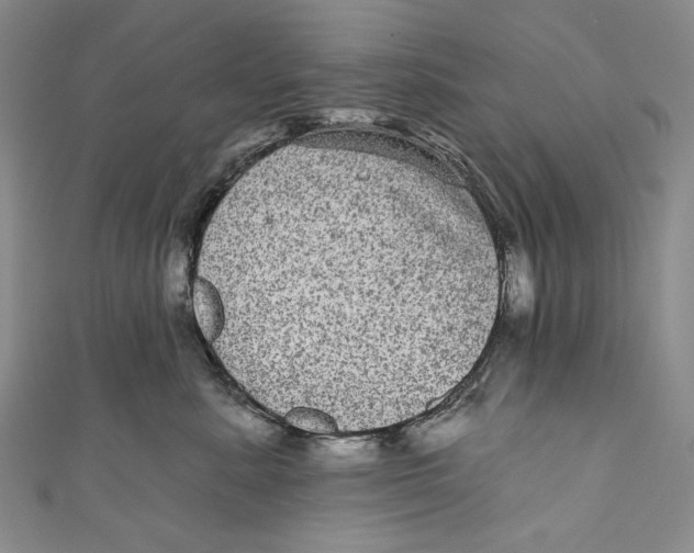 X0000110960619200907101329