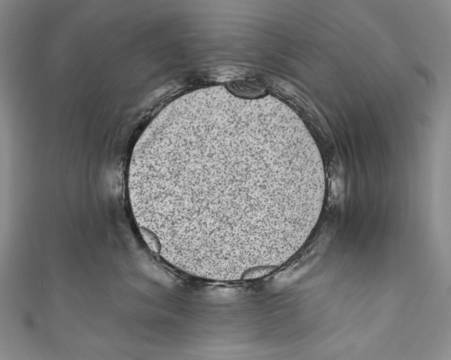 X0000110960620200907101329