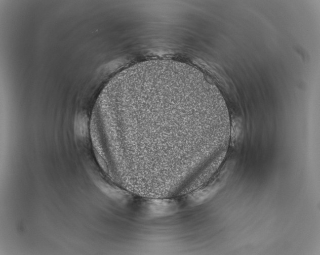 X0000110960623200907101329