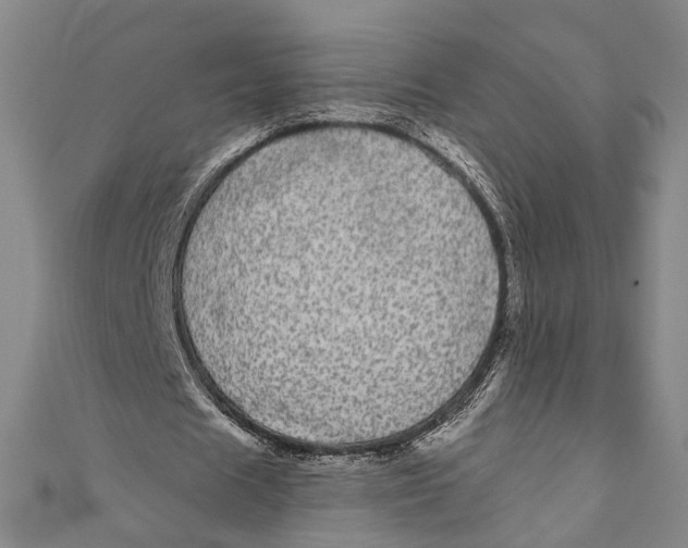 X0000110960625200907101328