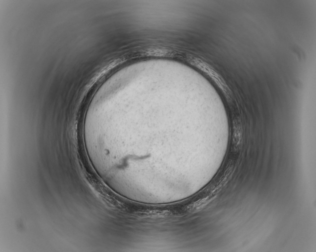 X0000110960626200907101328