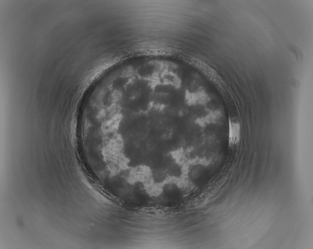 X0000110960627200907101328