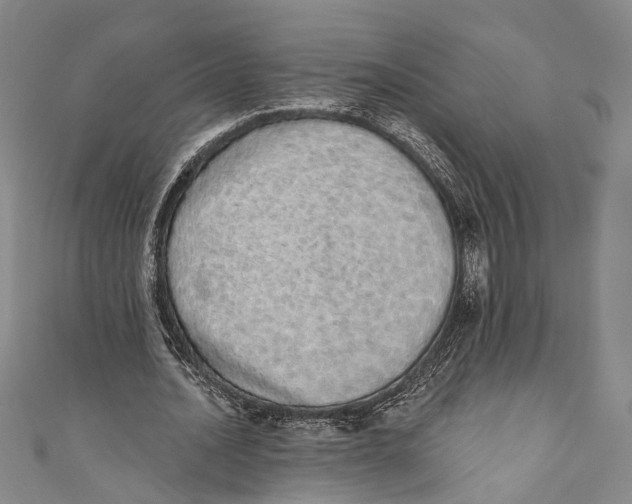 X0000110960628200907101328