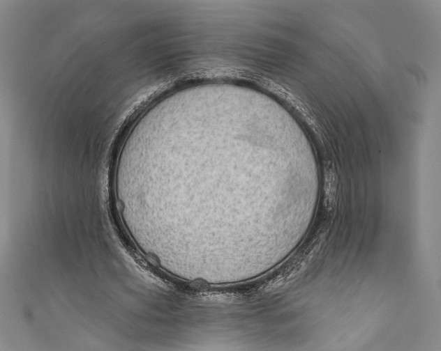 X0000110960629200907101328