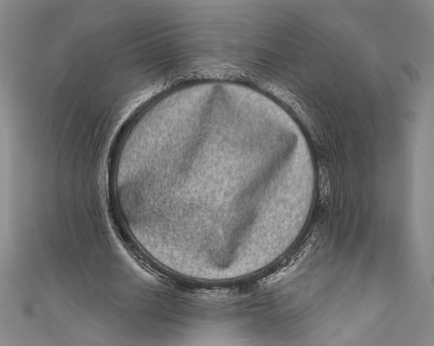 X0000110960630200907101328