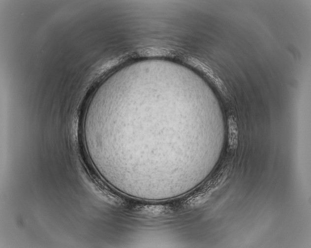 X0000110960631200907101328