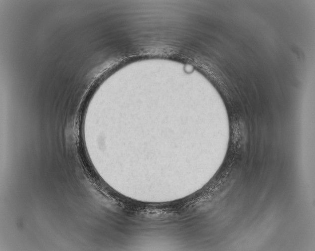 X0000110960632200907101328