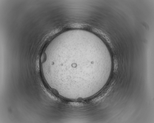 X0000110960633200907101328