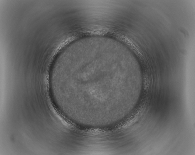 X0000110960634200907101328