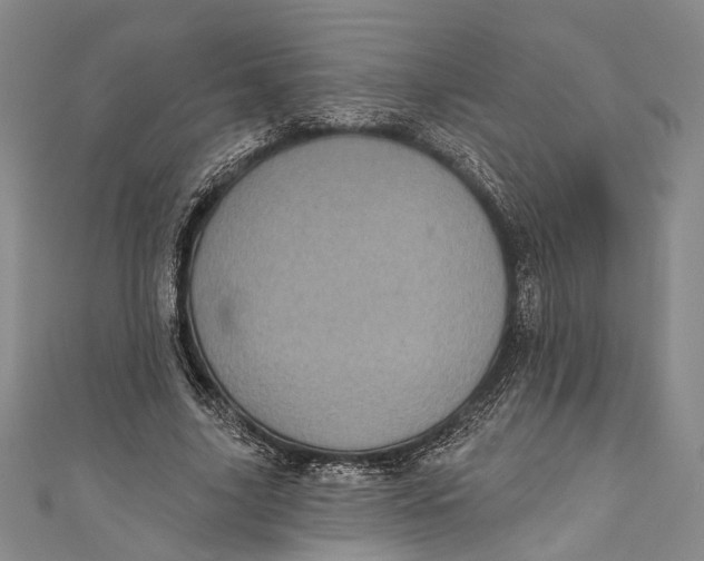 X0000110960635200907101328