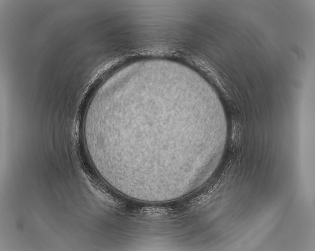 X0000110960636200907101328