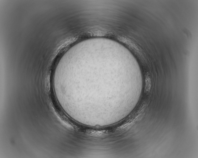 X0000110960638200907101328