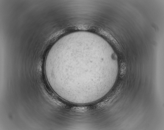 X0000110960639200907101328