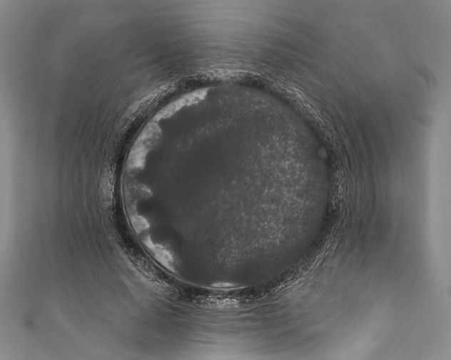 X0000110960640200907101328