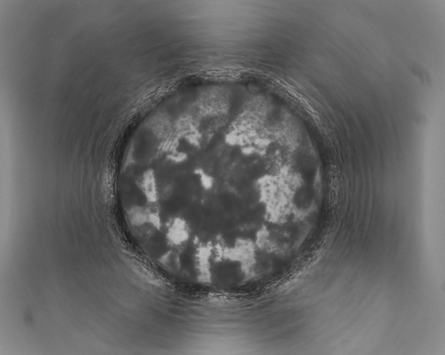 X0000110960641200907101328