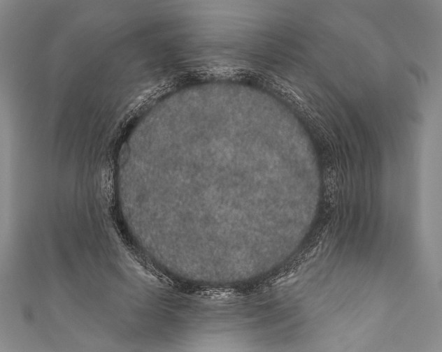 X0000110960642200907101328