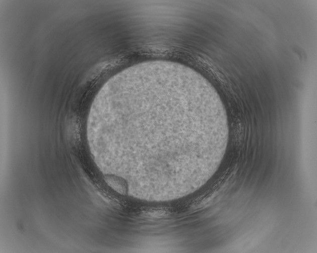 X0000110960643200907101328