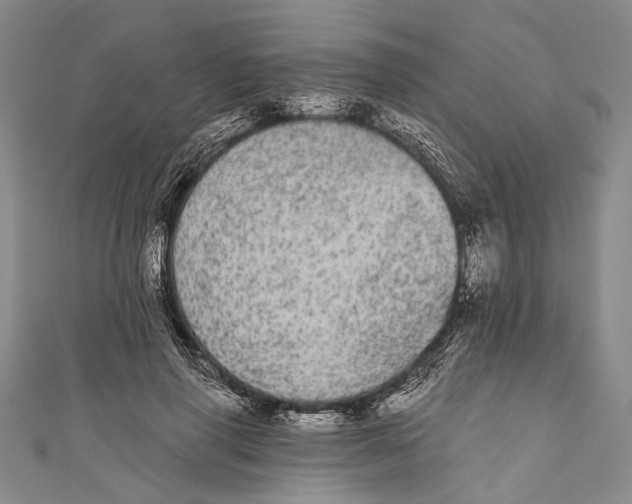 X0000110960645200907101328