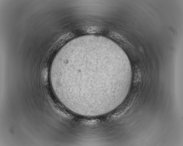 X0000110960646200907101328