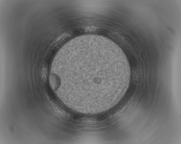 X0000110960648200907101328