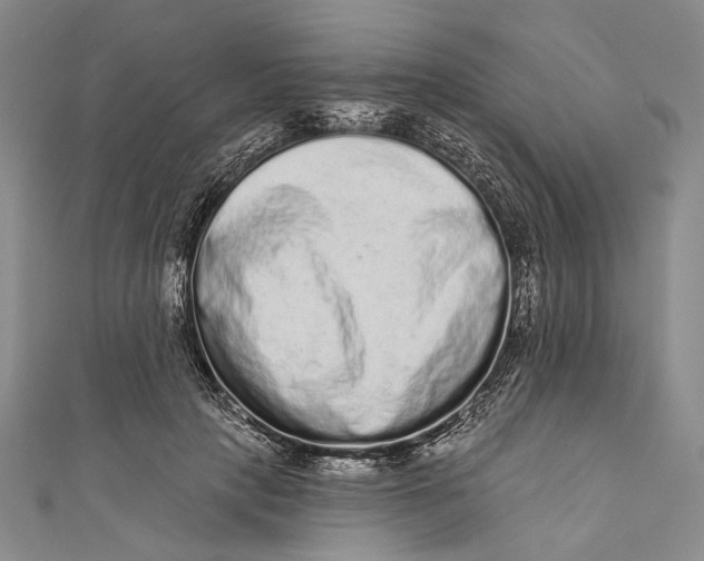 X0000110960649200907101328