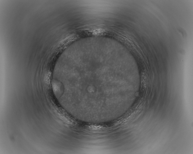 X0000110960650200907101328