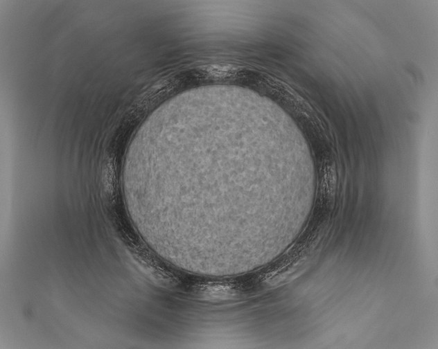 X0000110960651200907101328