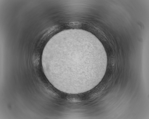 X0000110960652200907101328