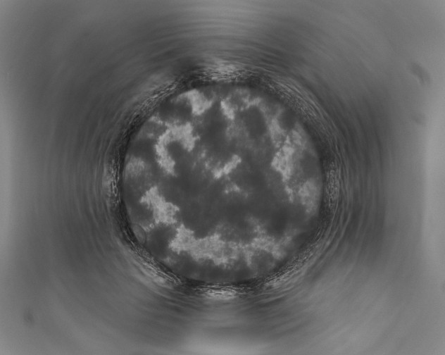 X0000110960653200907101328