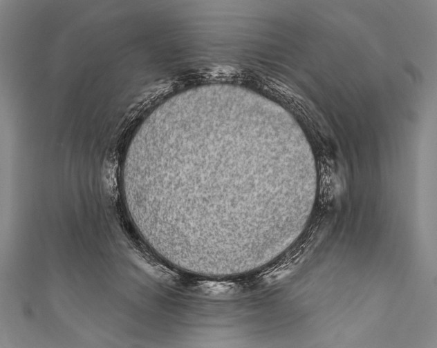 X0000110960654200907101328